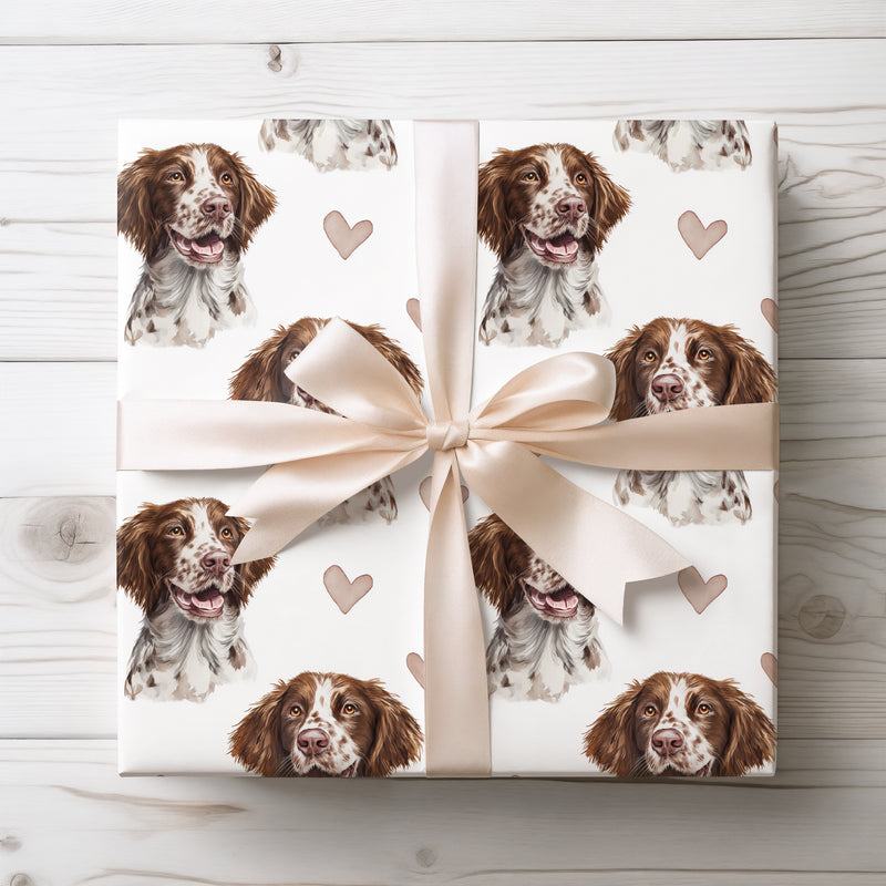 Featherlove Spaniel – American Water Spaniel watercolor hearts wrapping paper