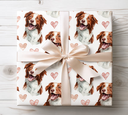 Romantic watercolor Border Collie dog wrapping paper featuring a happy Border Collie portrait with soft hand-painted hearts on a clean white background. Premium-quality wrapping paper ideal for dog lovers, birthdays, Valentine’s Day, anniversaries, and heartfelt gifts. Elegant, warm, and timeless Border Collie gift wrap. 