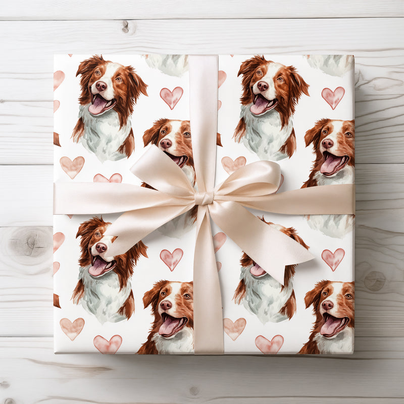 Rosewind Rally – Border Collie love wrapping paper