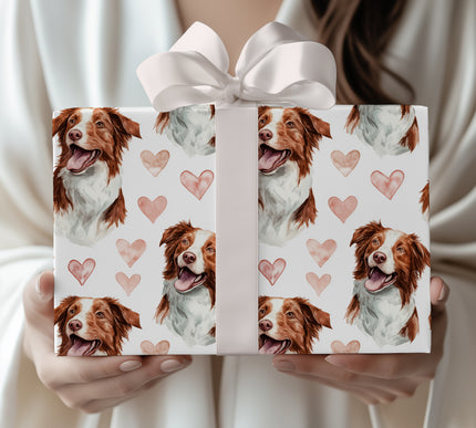 Rosewind Rally – Border Collie love wrapping paper