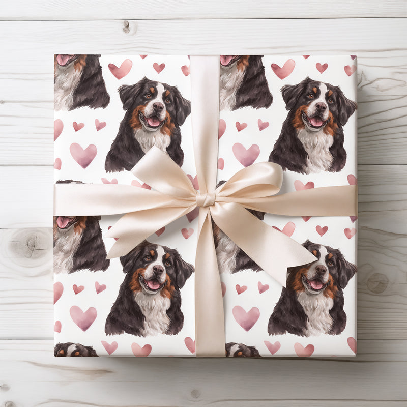 Rosewood Heartguard – Bernese Mountain Dog watercolor hearts wrapping paper
