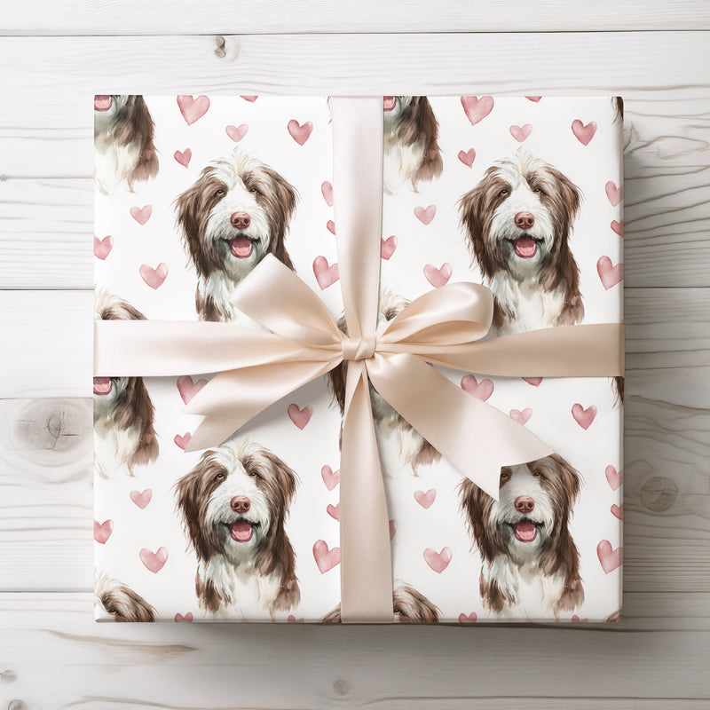Rosewood Whiskers – Bearded Collie watercolor hearts wrapping paper