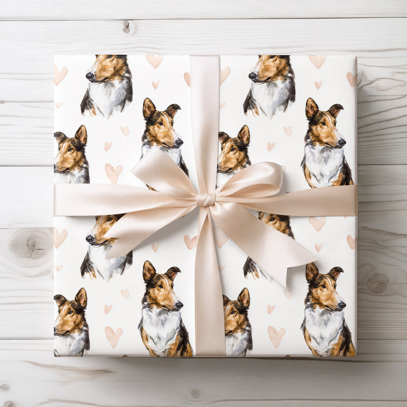 Softvale Promise – Smooth Collie love wrapping paper
