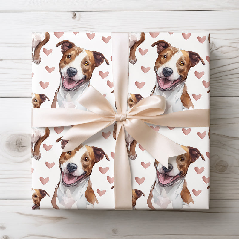 Warmhearted Valor – Romantic American Staffordshire Terrier Portrait wrapping paper