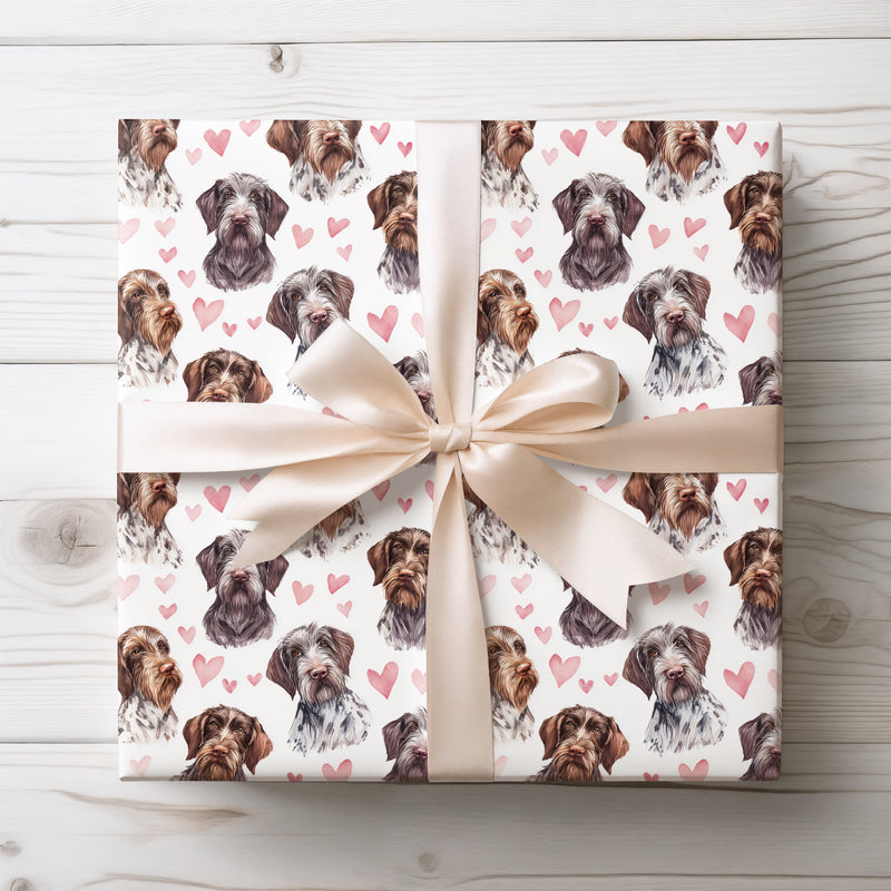Whispercoat Hearts – Wirehaired pointing griffon wrapping paper