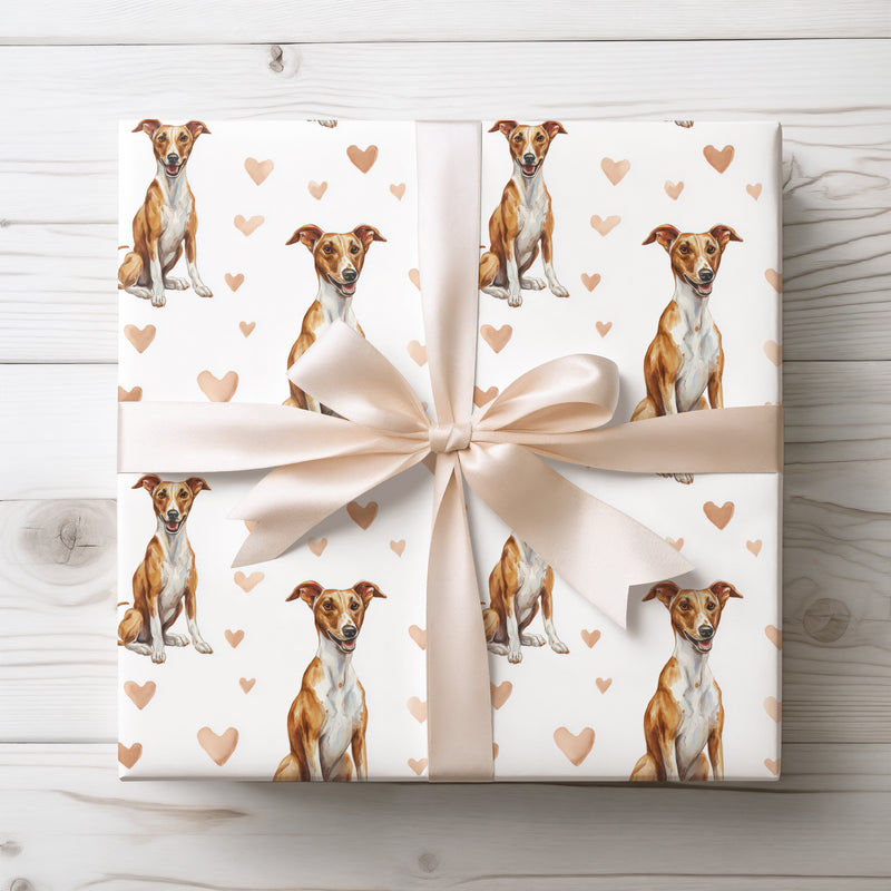 Desertheart Grace – Azawakh watercolor hearts wrapping paper