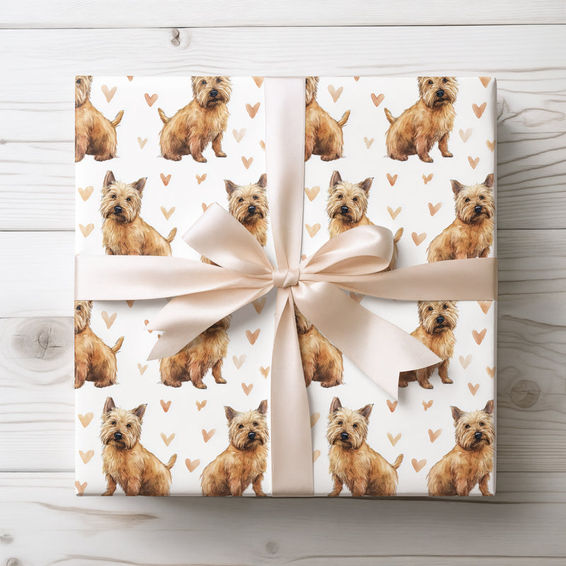 Golden Sprout Joy – Norwich Terrier love wrapping paper