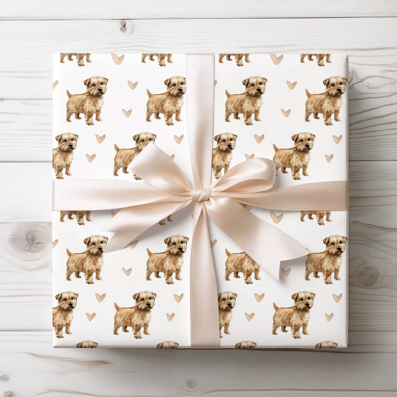 Golden Whisker Joy – Norfolk Terrier love wrapping paper
