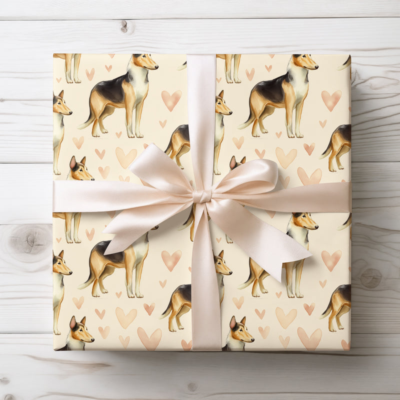 Goldenstead Promise – Smooth Collie love wrapping paper