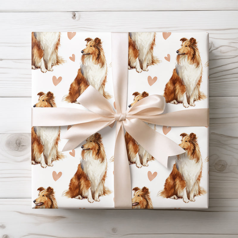 Goldenwhisper Glen – Rough Collie love wrapping paper