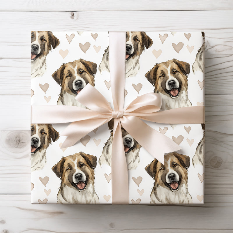 Heartbound Anatolia – Anatolian Shepherd Dog watercolor hearts wrapping paper