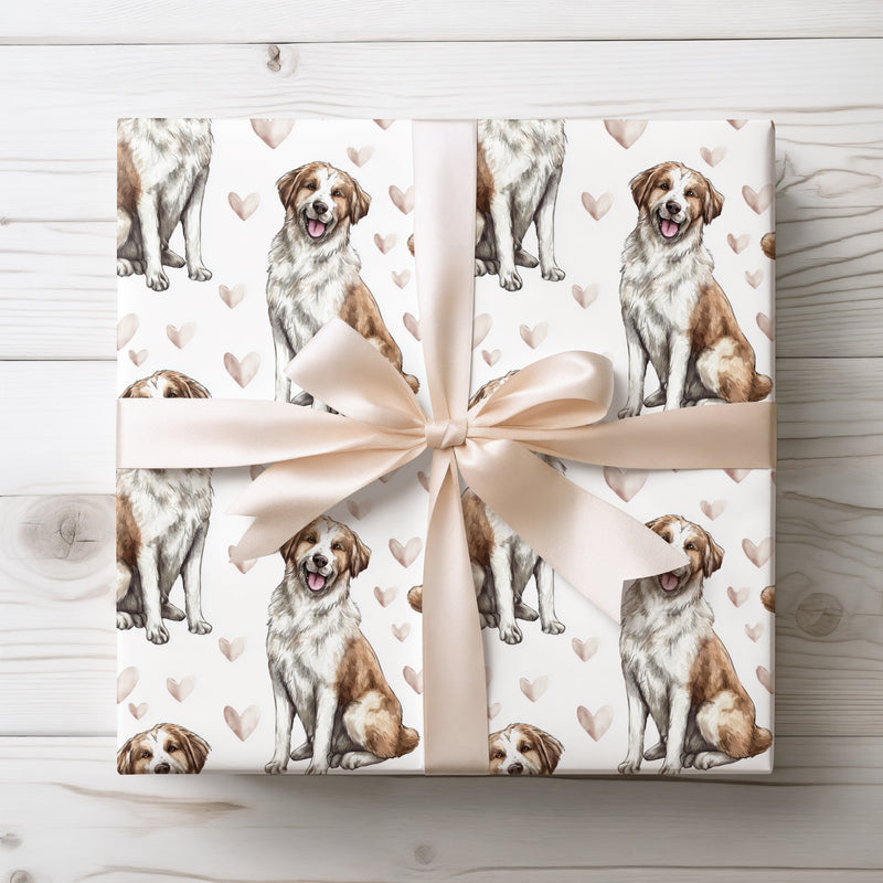 Heartbound Nomad – Anatolian Shepherd Dog wrapping paper