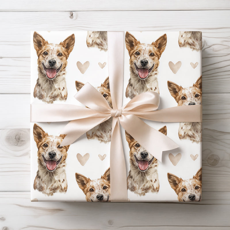Heartpaw Drift – Australian Cattle Dog love pattern wrapping paper