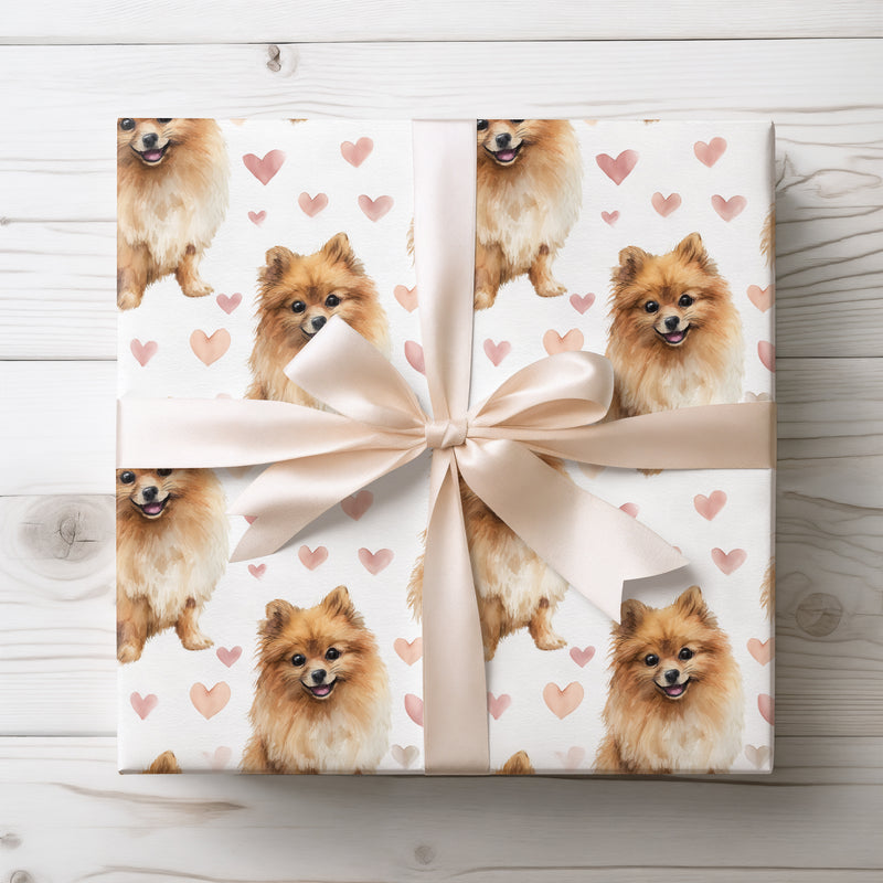 Honeyfluff Aura – Pomeranian love hearts wrapping paper