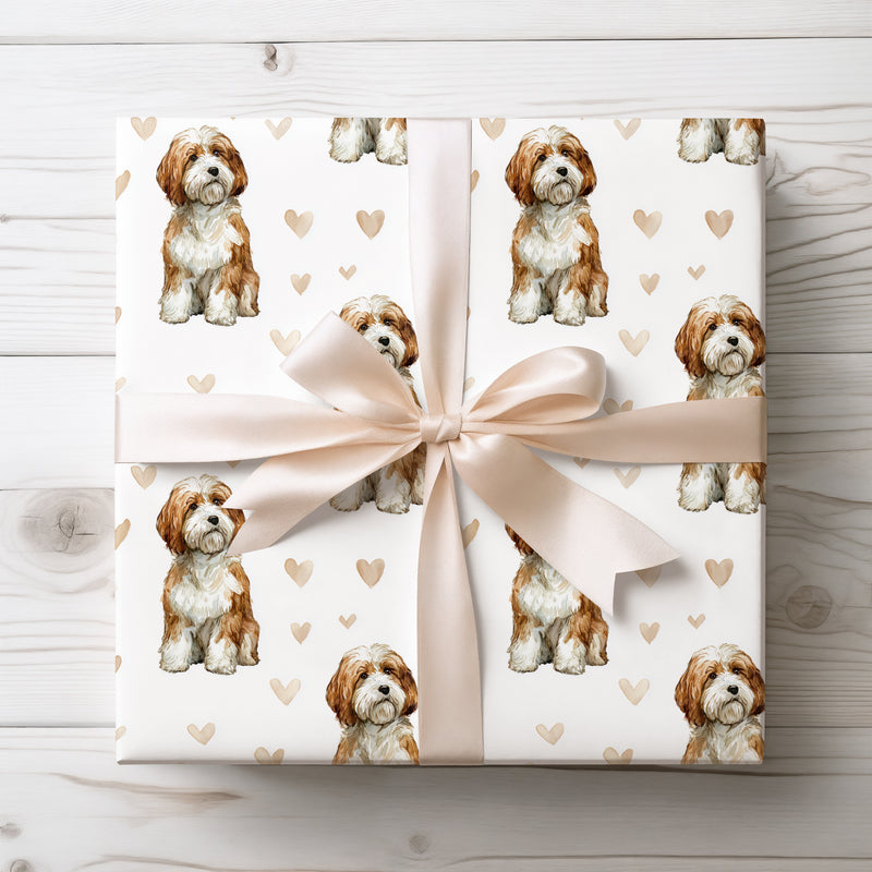 Honeyplume Haven – Havanese love wrapping paper