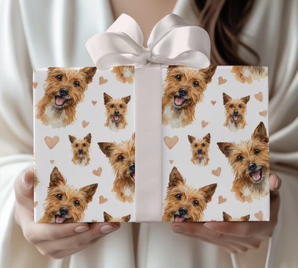 Honeytail Affection – Australian Terrier watercolor hearts wrapping paper