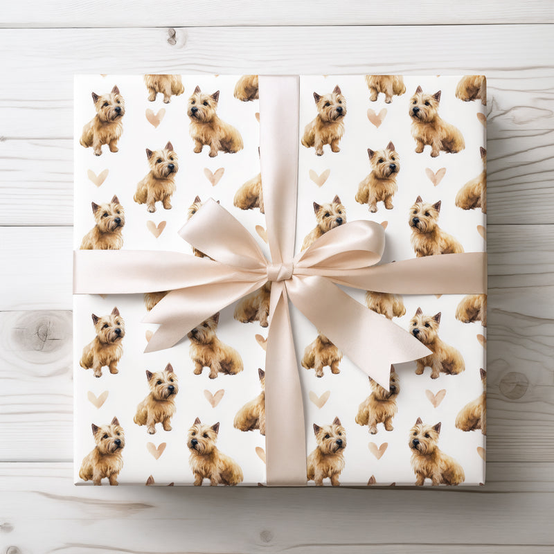 Honeywhisk Bloom – Norwich Terrier love wrapping paper