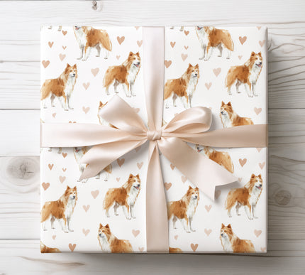 Soft watercolor Icelandic Sheepdog dog wrapping paper featuring a happy Icelandic Sheepdog illustration with gentle hand-painted hearts on a clean white background. Premium-quality wrapping paper perfect for dog lovers, birthdays, Valentine’s Day, anniversaries, and heartfelt gifts. Warm, cozy, and timeless Icelandic Sheepdog gift wrap. 