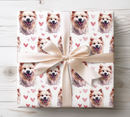 Premium American Eskimo Dog wrapping paper featuring joyful watercolor portrait illustrations with soft pink and red hearts on a clean white background. Perfect gift wrap for American Eskimo Dog lovers, dog moms and dog dads, Valentine’s Day, birthdays, anniversaries, and cozy pet-themed gifts. High-quality wrapping paper with a bright, romantic charm. 