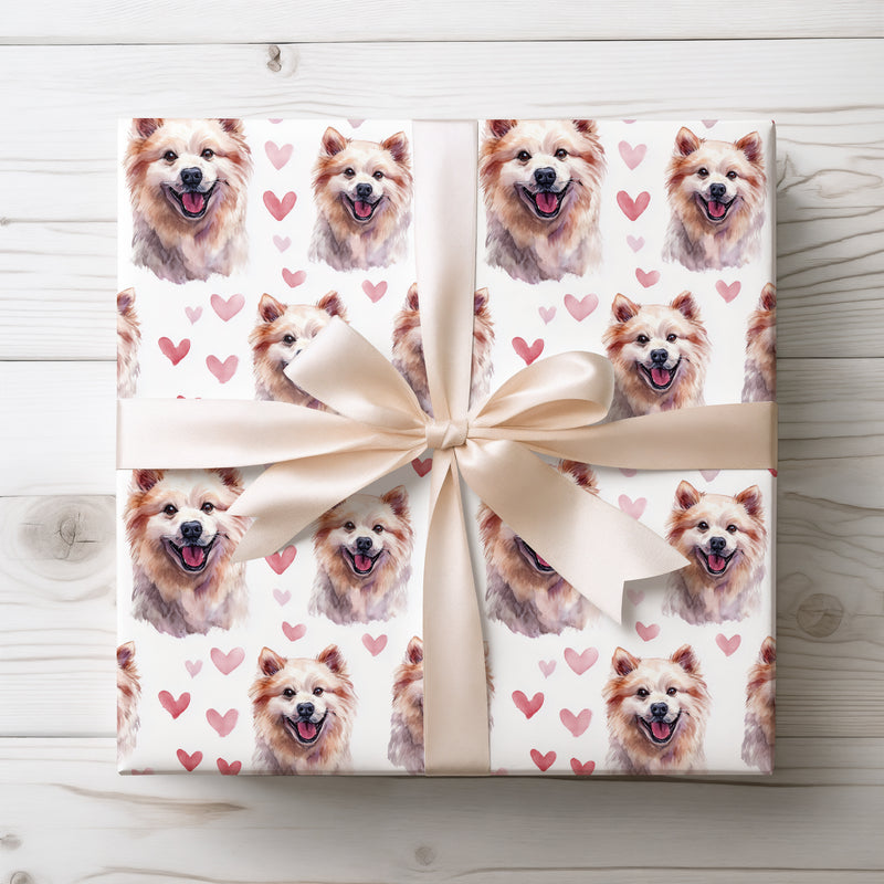 Pink Snowsmile – Romantic American Eskimo Dog Portrait wrapping paper