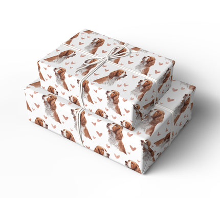 Rosefield Devotion – Welsh Springer Spaniel love wrapping paper