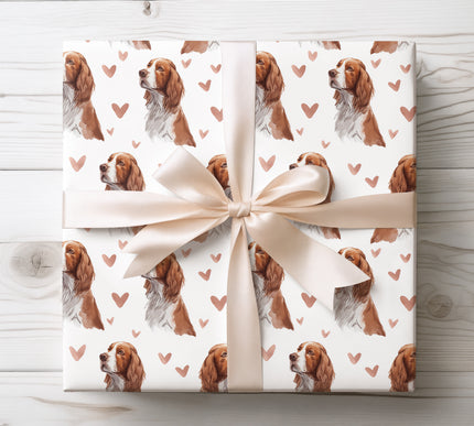  Premium watercolor wrapping paper featuring beautiful Welsh Springer Spaniel illustrations with soft hand-painted heart accents. Seamless repeat on a clean white background, perfect for dog lovers, Valentine’s gifts, birthdays, holidays, and warm, timeless pet-themed gift wrapping. 