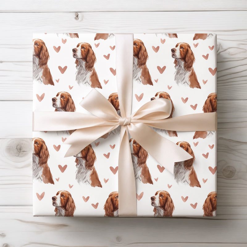 Rosefield Devotion – Welsh Springer Spaniel love wrapping paper