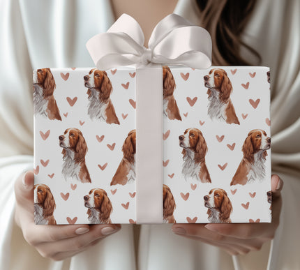 Rosefield Devotion – Welsh Springer Spaniel love wrapping paper