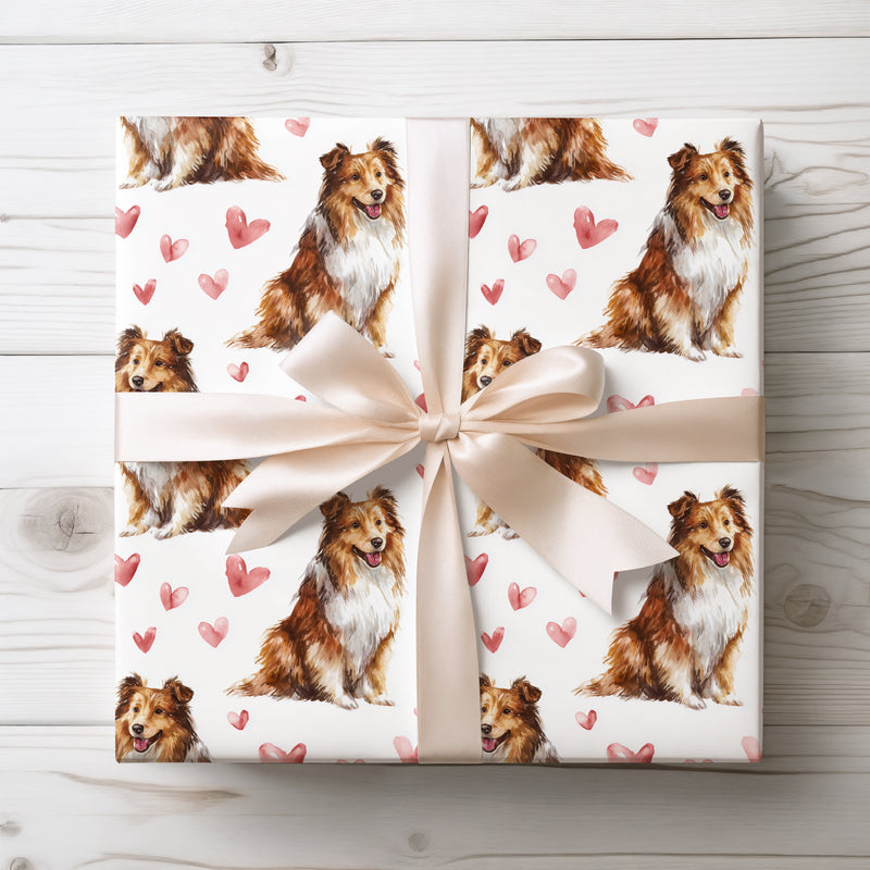 Roselove Meadow – Shetland Sheepdog love wrapping paper