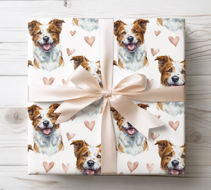 Charming watercolor wrapping paper featuring a happy Australian Cattle Dog with soft heart accents on a clean white background. Perfect gift wrap for Australian Cattle Dog lovers, dog parents, birthdays, Valentine’s Day, and heartfelt celebrations. High-quality seamless design Australian Cattle Dog wrapping paper. 