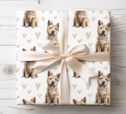 Charming Berger Picard wrapping paper featuring a realistic watercolor dog illustration with soft beige heart accents on a clean white background. Perfect for dog lovers, romantic gifts, Valentine’s Day, birthdays, or special occasions. This Berger Picard watercolor wrapping paper adds a natural, cozy, and heartfelt touch to every gift. 