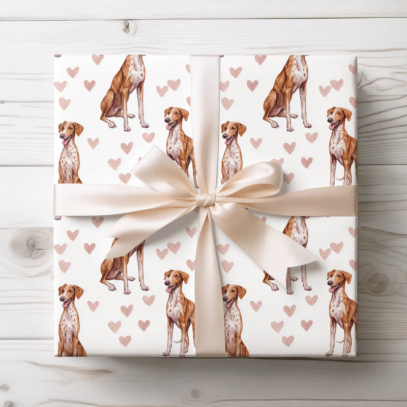 Saharan Blush – Azawakh watercolor hearts wrapping paper