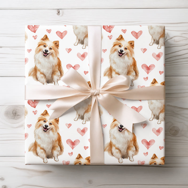 Snowblush Charm – Romantic American Eskimo Dog Sitting wrapping paper