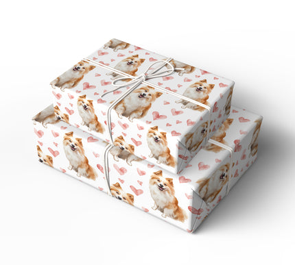Snowblush Charm – Romantic American Eskimo Dog Sitting wrapping paper