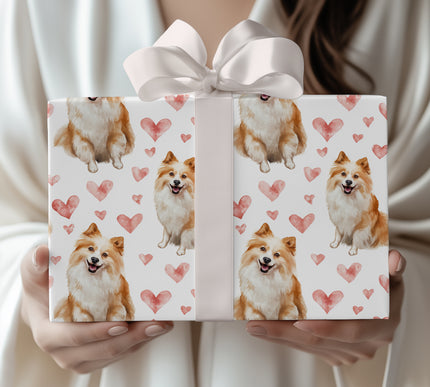 Snowblush Charm – Romantic American Eskimo Dog Sitting wrapping paper