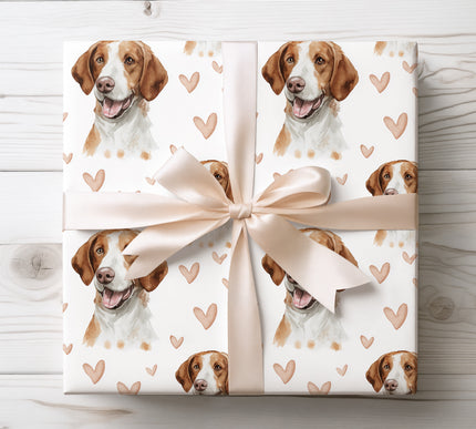 Premium American Foxhound dog wrapping paper featuring gentle watercolor portrait illustrations with soft blush hearts on a clean white background. Perfect gift wrap for American Foxhound lovers, dog moms and dog dads, Valentine’s Day, birthdays, anniversaries, and heartfelt pet-themed gifts. High-quality wrapping paper with a warm, romantic feel. 