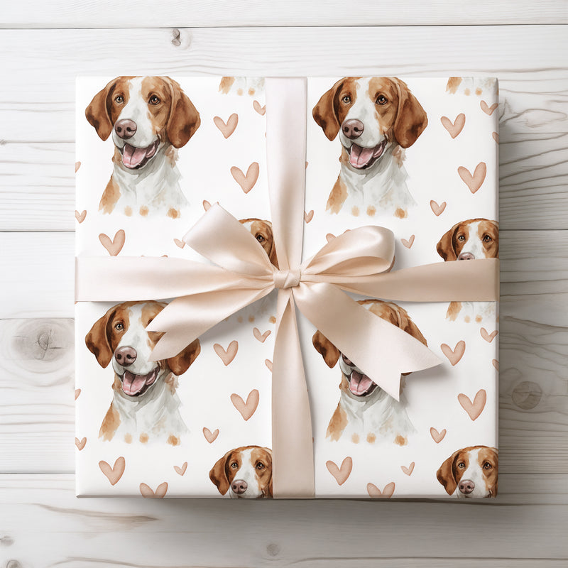 Soft Meadow Call – Romantic American Foxhound Portrait wrapping paper