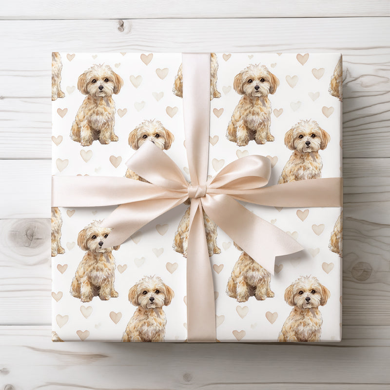 Softpaw Cherish – Maltipoo love pattern wrapping paper