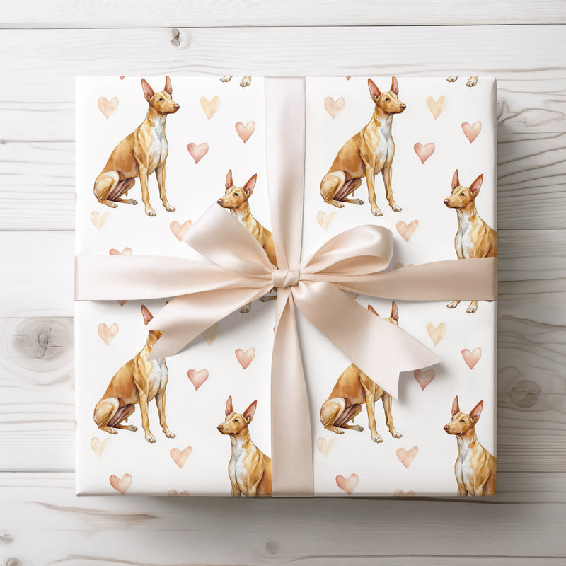 Sunspire Whisper – Pharaoh Hound love wrapping paper