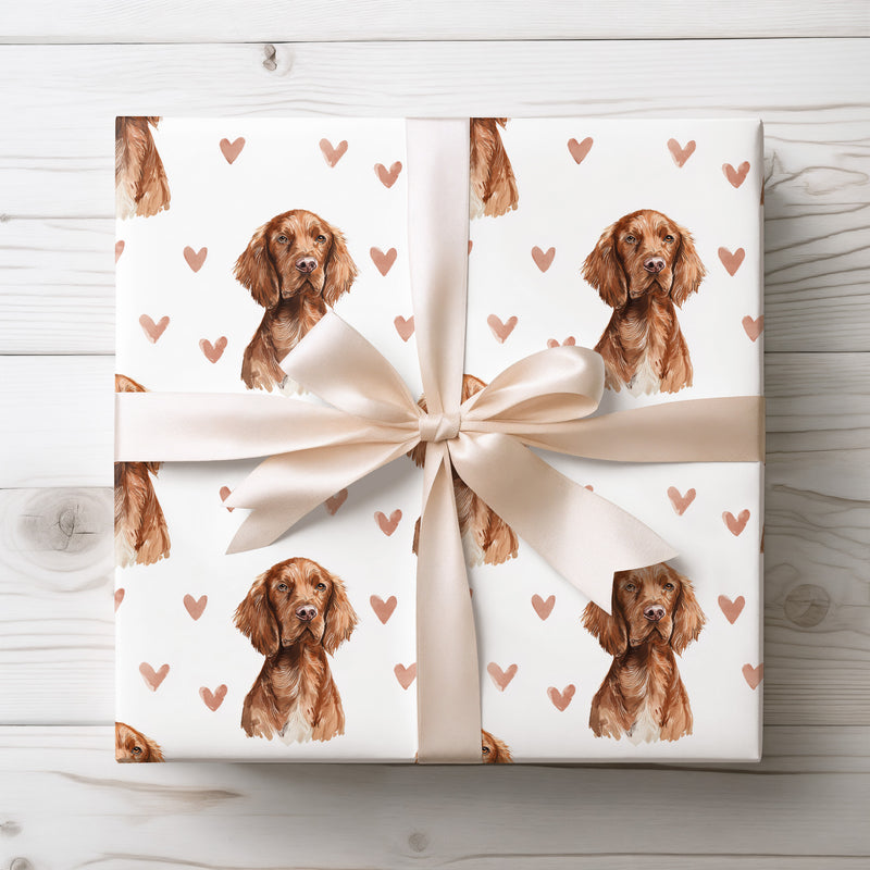 Velourhearts – Irish Setter Love Pattern wrapping paper