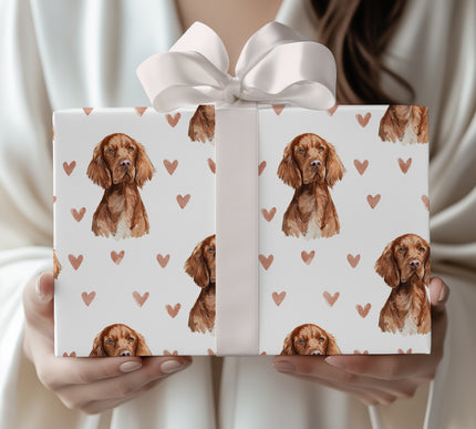 Velourhearts – Irish Setter Love Pattern wrapping paper