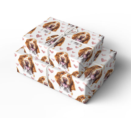 Velvet Droopheart – Bloodhound wrapping paper