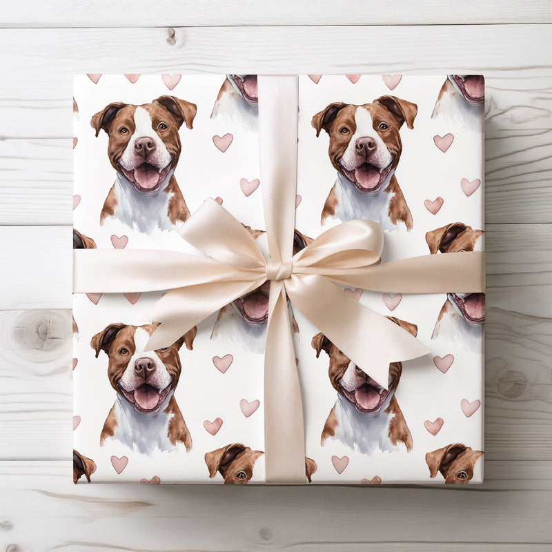 Velvet Heartbound – Romantic American Pit Bull Terrier Portrait wrapping paper