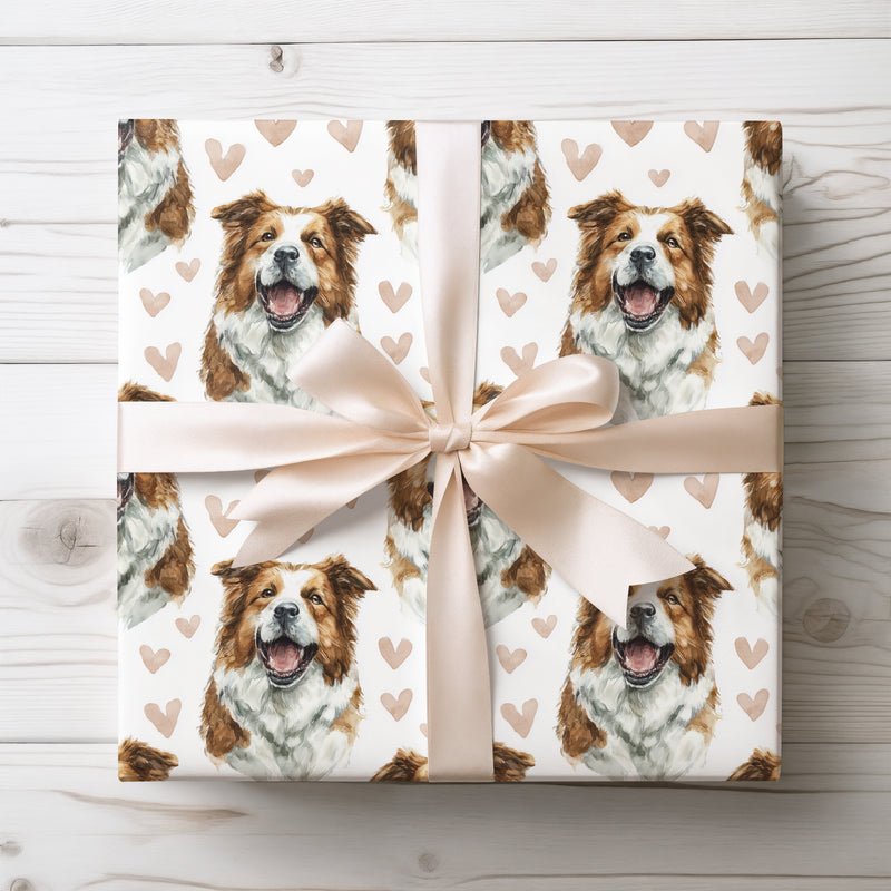 Warmsteel Promise – Romantic American Akita Portrait wrapping paper